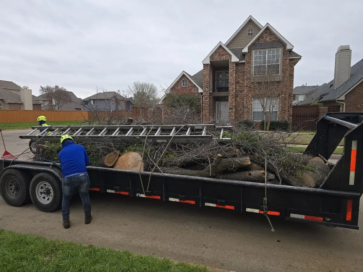 Expert Lot Clearing with proper safety equipment in Canton